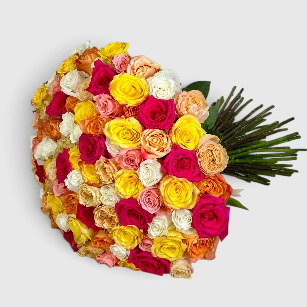 101 Multicolored Roses