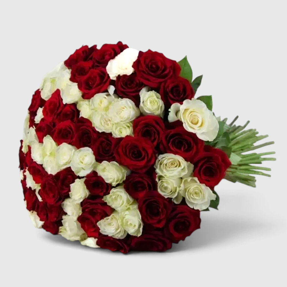 80 Red & White Roses
