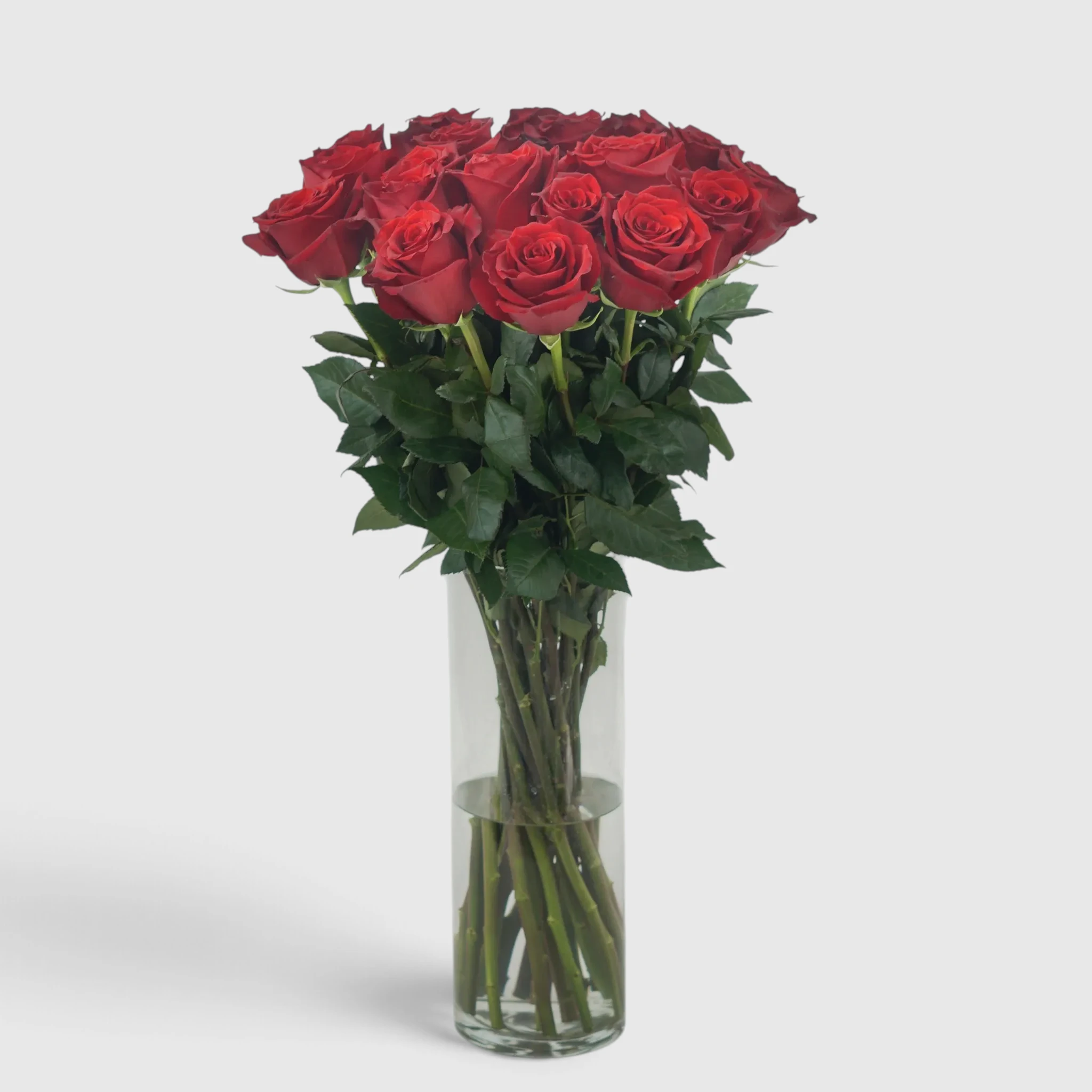 Tall Red Roses (10-301 pc.)