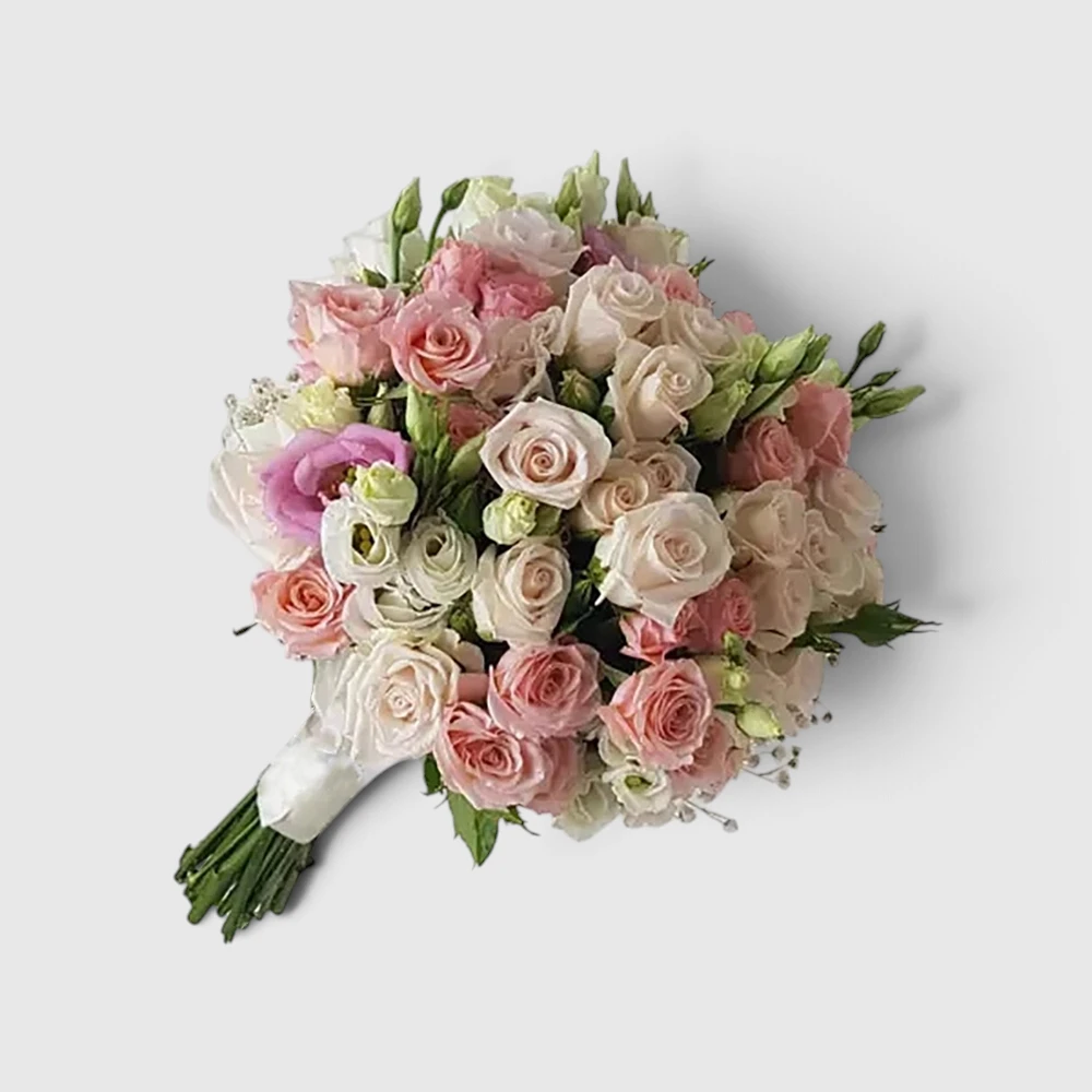 Rococo Dreams