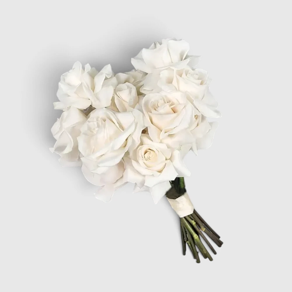 Pure White