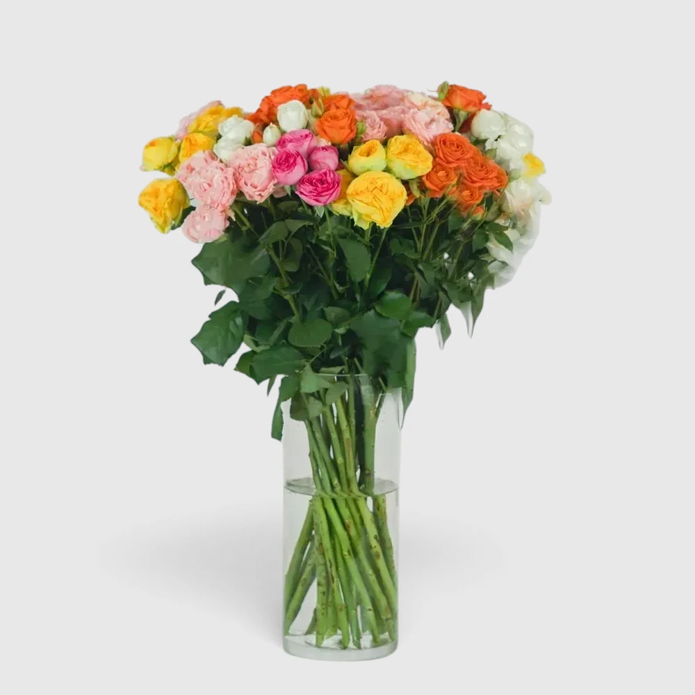 Spray Roses (7-301)