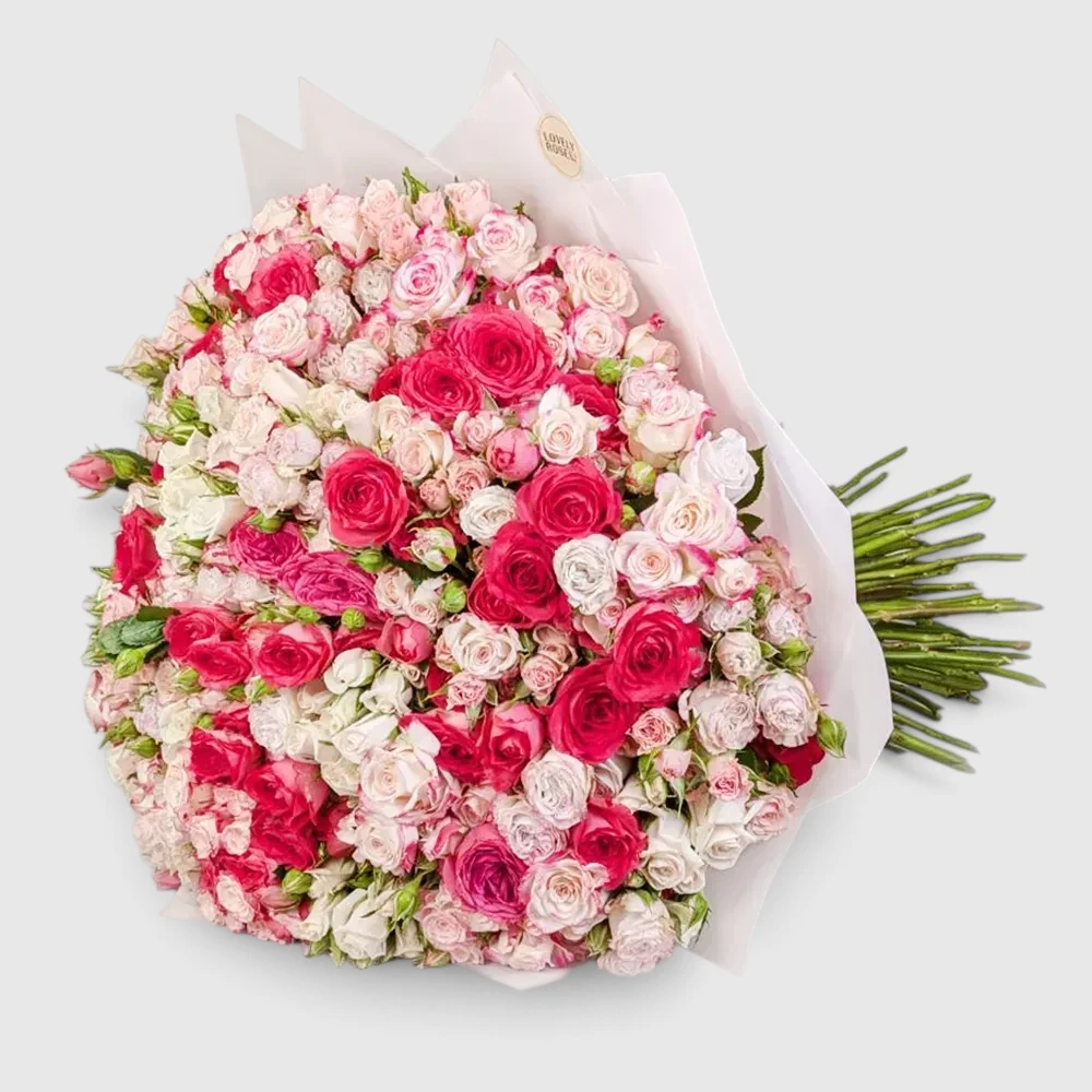 101 Spray Roses