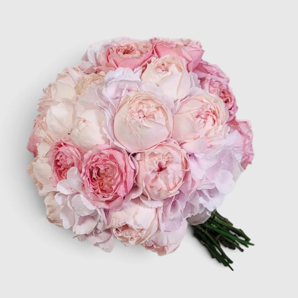 Hydrangea Romance