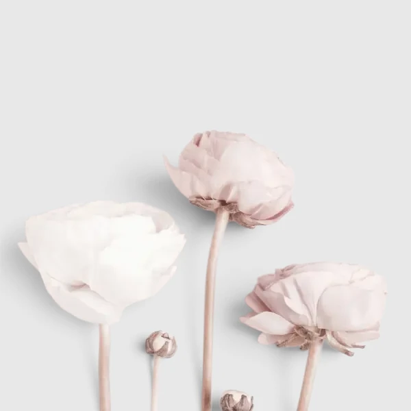 Boutonniere
