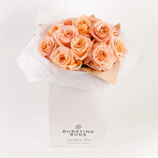 Whispering Peach Elegance