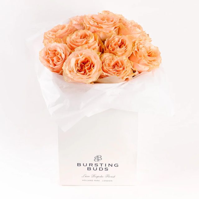 Peach Majesty