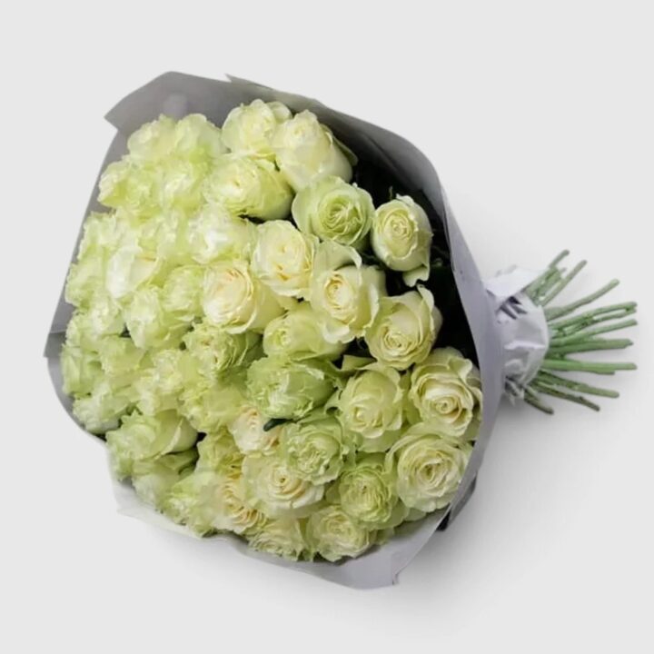 51 White Roses
