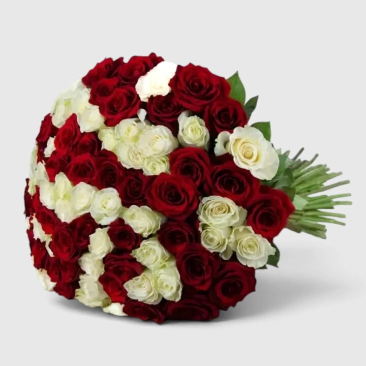 80 Red & White Roses