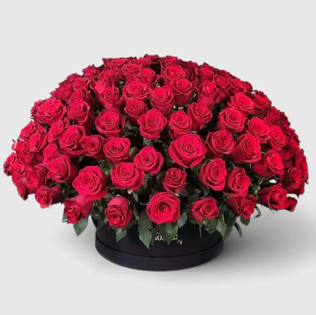 Red roses in a black box (200 pcs)